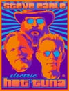 2010 Electric Tour Poster