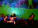 1998-04-08 Photo
