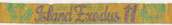 2020-01-21 Island Exodus 11 wrist band